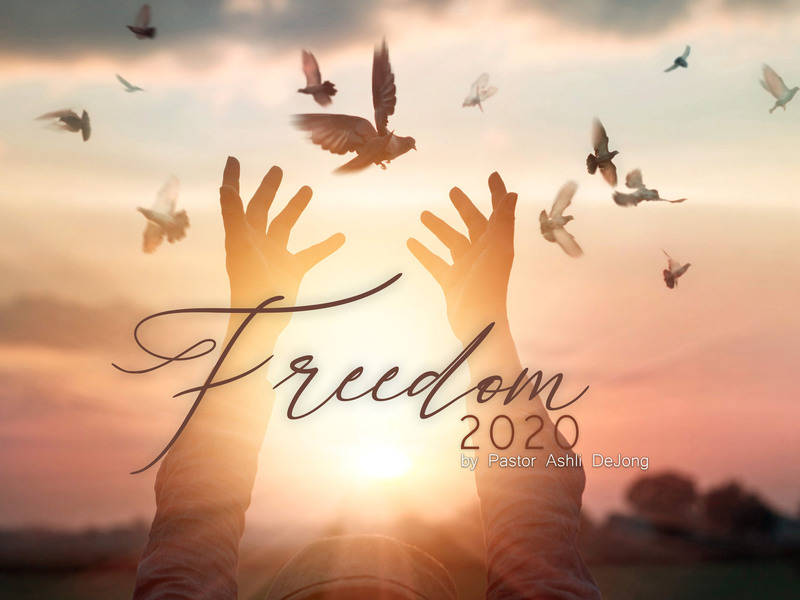 Freedom 2020